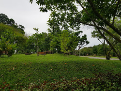 Sembawang Straits Estate (D27), Semi-Detached #244102821